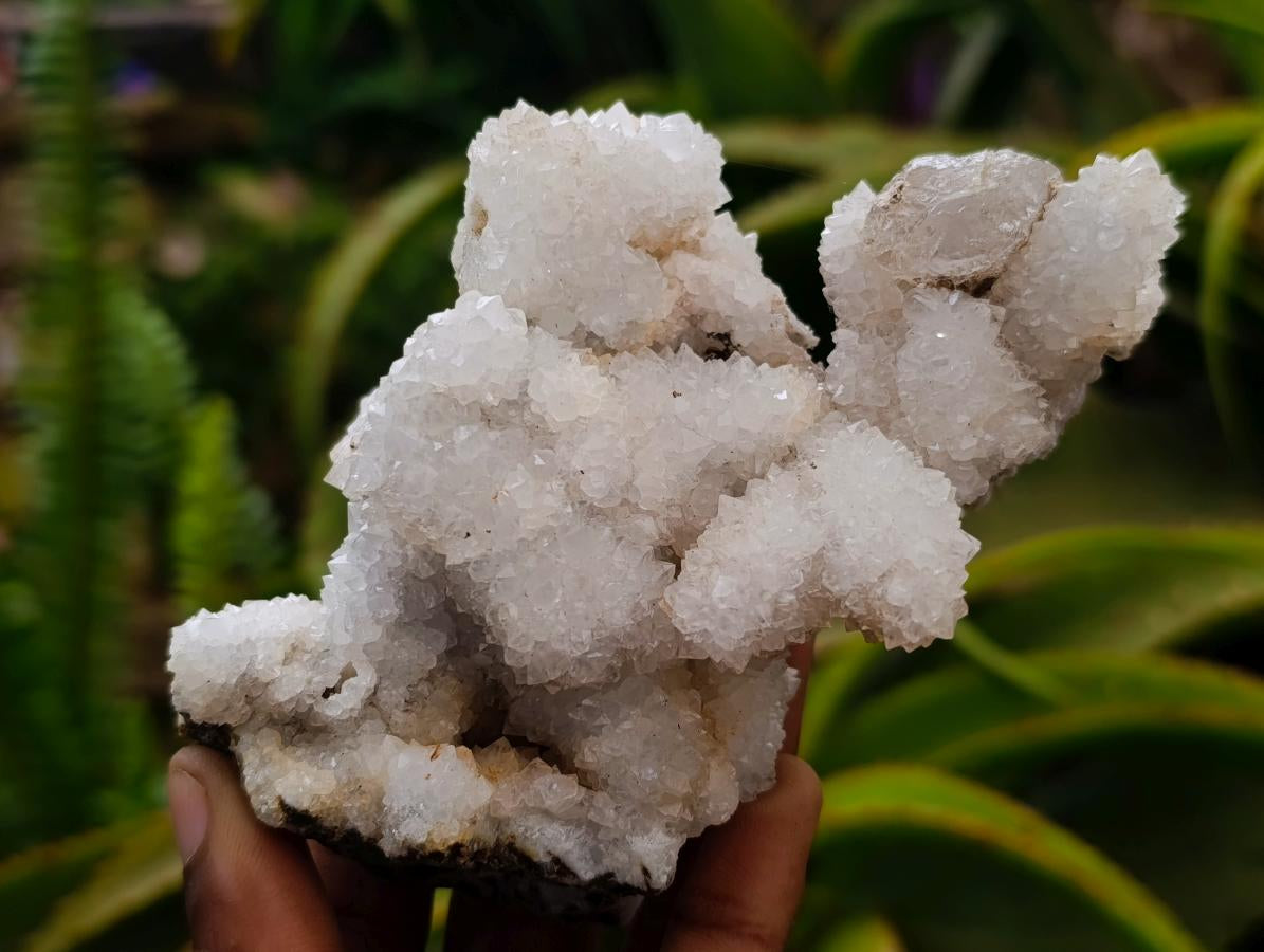 Natural Drusy Quartz Coated Calcite Pseudomorph Specimens x 4 From Albert's Mountain, Lesotho