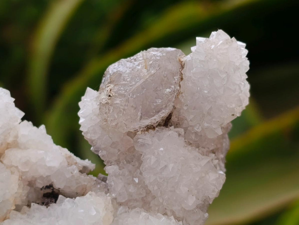 Natural Drusy Quartz Coated Calcite Pseudomorph Specimens x 4 From Albert's Mountain, Lesotho