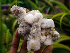 Natural Drusy Quartz Coated Calcite Pseudomorph Specimens x 4 From Albert's Mountain, Lesotho