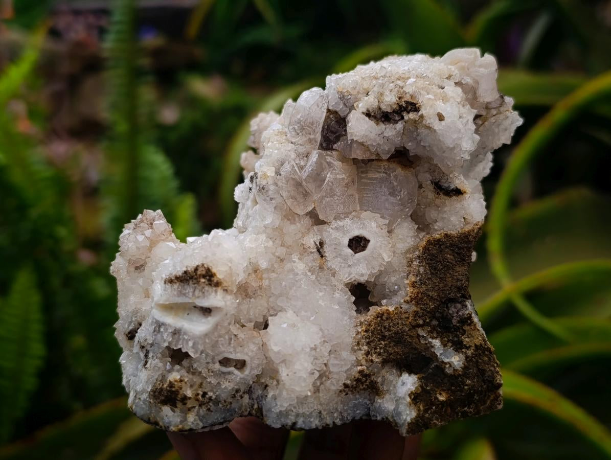 Natural Drusy Quartz Coated Calcite Pseudomorph Specimens x 4 From Albert's Mountain, Lesotho