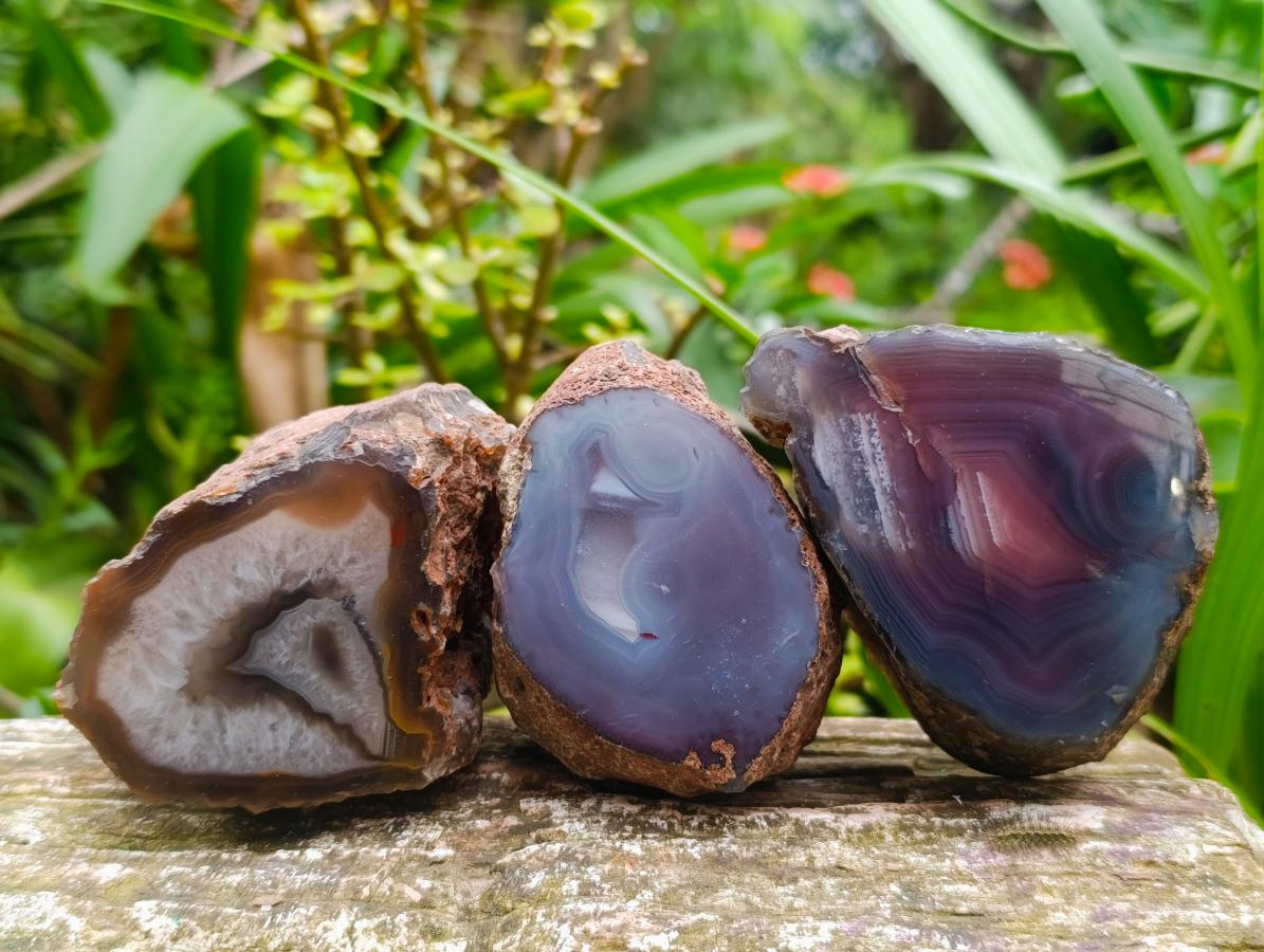 Polished On One Side Red Shashe River Agate Nodules x 5 From Shashe River, Zimbabwe