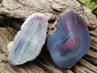 Polished On One Side Red Shashe River Agate Nodules x 5 From Shashe River, Zimbabwe