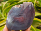 Polished On One Side Red Shashe River Agate Nodules x 5 From Shashe River, Zimbabwe