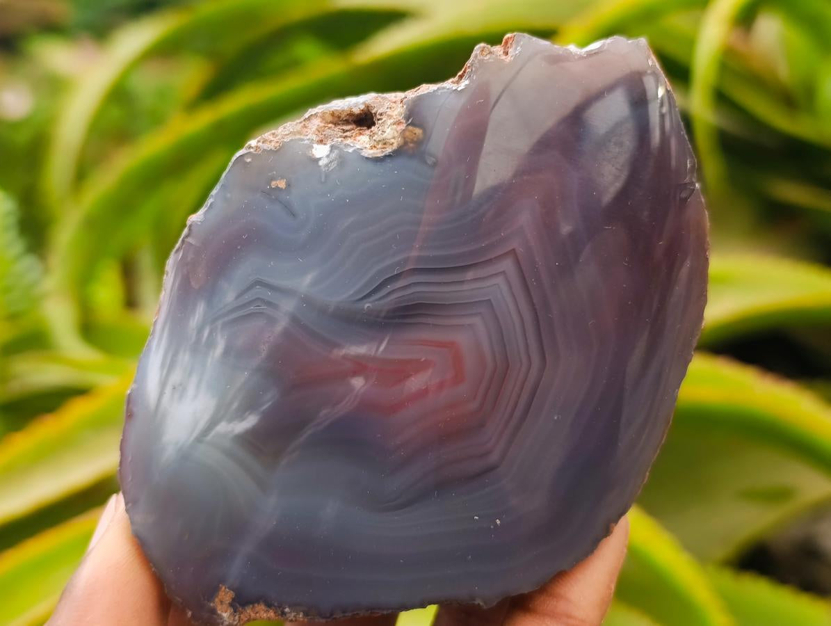Polished On One Side Red Shashe River Agate Nodules x 5 From Shashe River, Zimbabwe
