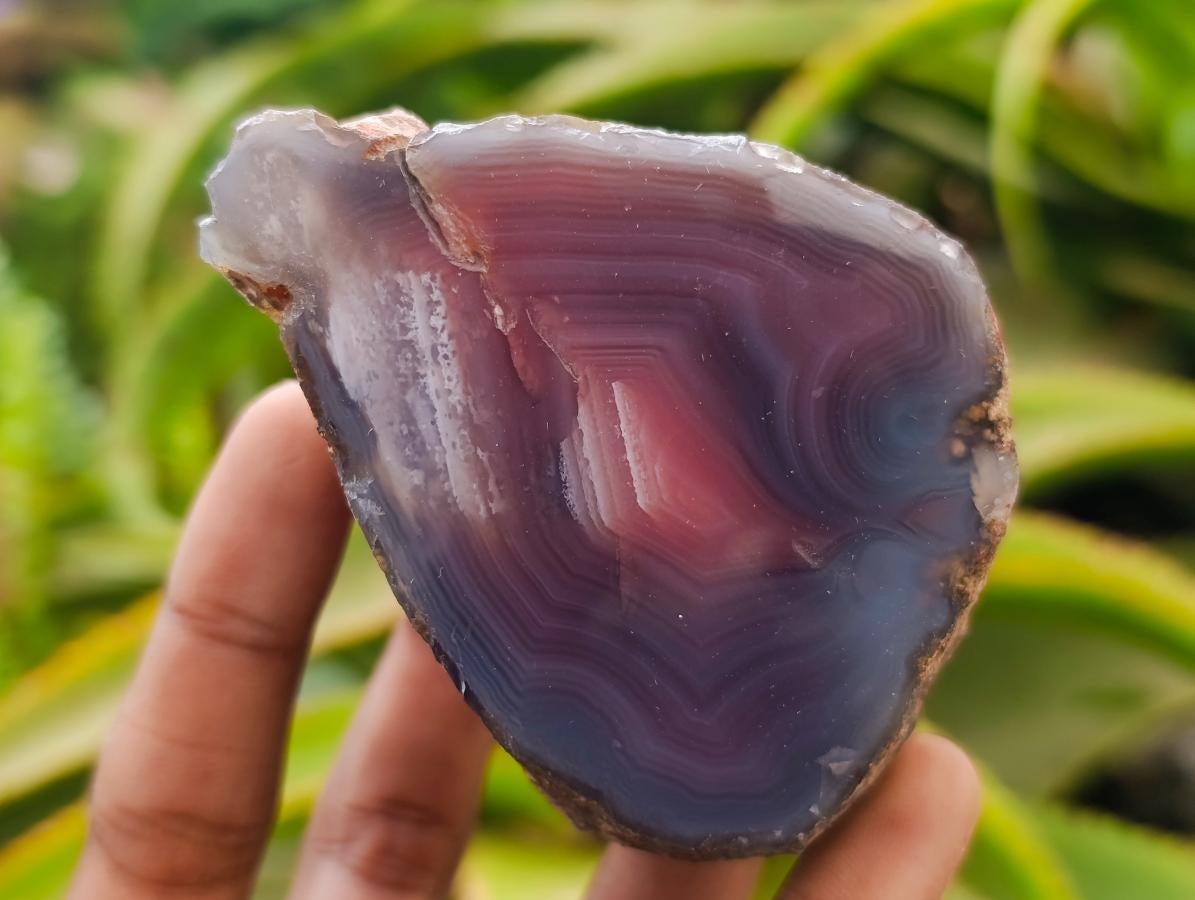 Polished On One Side Red Shashe River Agate Nodules x 5 From Shashe River, Zimbabwe