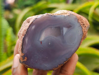 Polished On One Side Red Shashe River Agate Nodules x 5 From Shashe River, Zimbabwe