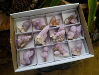 Natural Lilac Amethyst Spirit Clusters x 12 From Boekenhouthoek, South Africa
