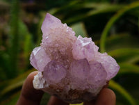 Natural Lilac Amethyst Spirit Clusters x 12 From Boekenhouthoek, South Africa