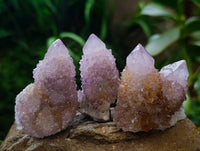 Natural Lilac Amethyst Spirit Clusters x 12 From Boekenhouthoek, South Africa