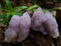 Natural Lilac Amethyst Spirit Clusters x 12 From Boekenhouthoek, South Africa
