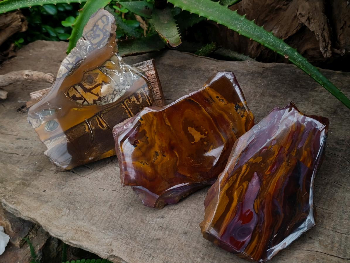 Polished On One Side Nguni Jasper Slices x 3 From Northern Cape, South Africa