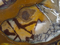 Polished On One Side Nguni Jasper Slices x 3 From Northern Cape, South Africa