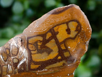 Polished On One Side Nguni Jasper Slices x 3 From Northern Cape, South Africa