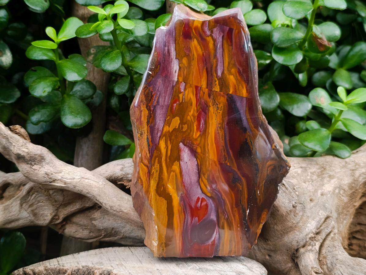 Polished On One Side Nguni Jasper Slices x 3 From Northern Cape, South Africa