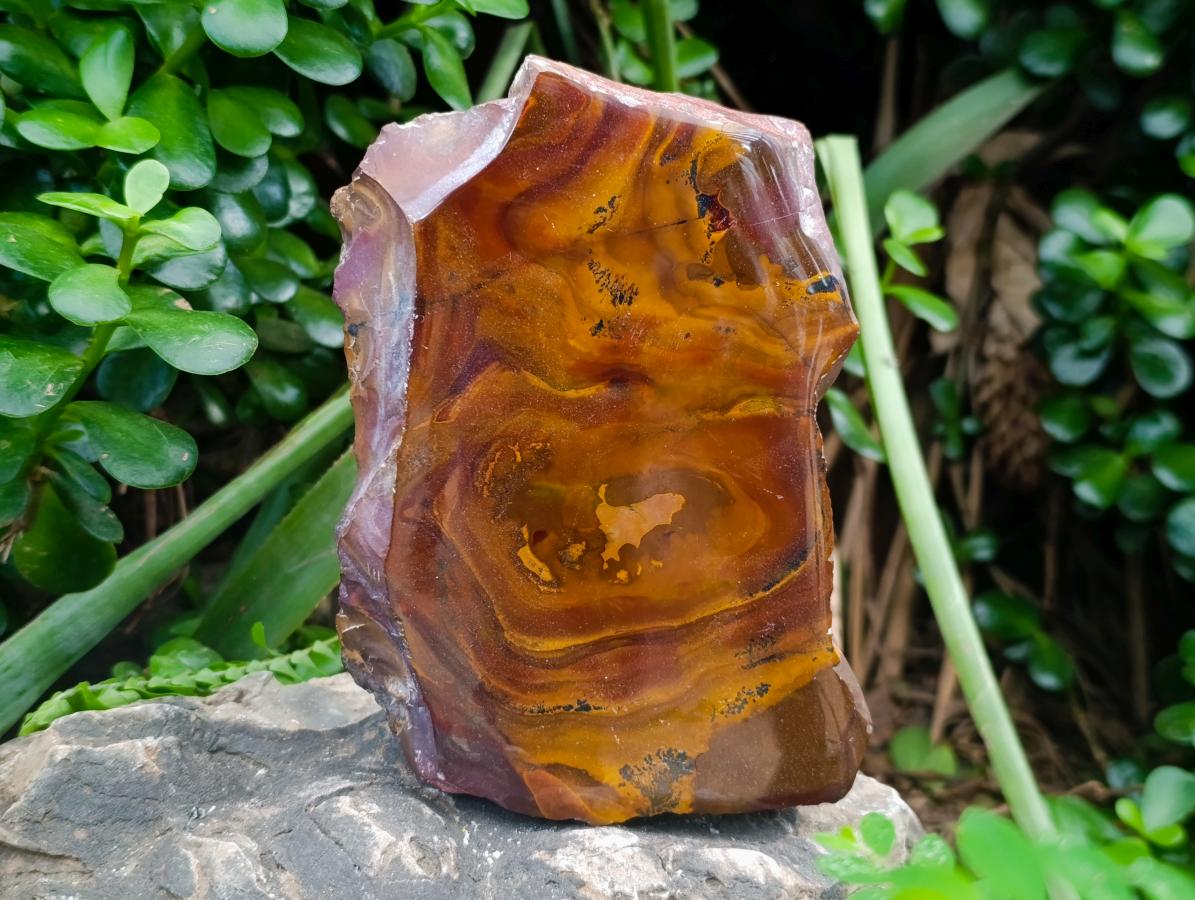 Polished On One Side Nguni Jasper Slices x 3 From Northern Cape, South Africa