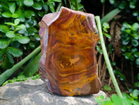 Polished On One Side Nguni Jasper Slices x 3 From Northern Cape, South Africa