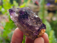 Natural Smoky Window Amethyst Crystals x 40 From Chiredzi, Zimbabwe