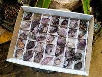 Natural Smoky Window Amethyst Crystals x 40 From Chiredzi, Zimbabwe