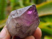 Natural Smoky Window Amethyst Crystals x 40 From Chiredzi, Zimbabwe