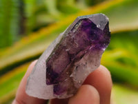 Natural Smoky Window Amethyst Crystals x 40 From Chiredzi, Zimbabwe