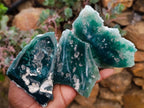 Polished On One Side Mtorolite Plates x 12 From Mutorashanga, Zimbabwe - Toprock Gemstones and Minerals 