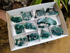 Polished On One Side Mtorolite Plates x 12 From Mutorashanga, Zimbabwe - Toprock Gemstones and Minerals 