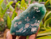 Polished On One Side Mtorolite Plates x 12 From Mutorashanga, Zimbabwe