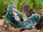 Polished On One Side Mtorolite Plates x 12 From Mutorashanga, Zimbabwe - Toprock Gemstones and Minerals 