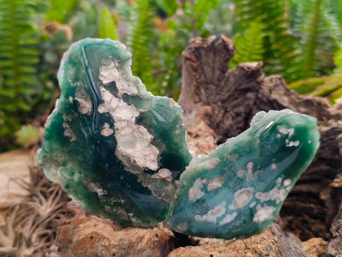 Polished On One Side Mtorolite Plates x 12 From Mutorashanga, Zimbabwe