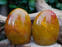 Polished Red Flame Jasper Standing Free Form x 6 From Madagascar