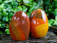 Polished Red Flame Jasper Standing Free Form x 6 From Madagascar