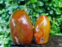 Polished Red Flame Jasper Standing Free Form x 6 From Madagascar