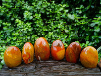 Polished Red Flame Jasper Standing Free Form x 6 From Madagascar