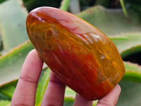 Polished Red Flame Jasper Standing Free Form x 6 From Madagascar