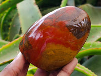 Polished Red Flame Jasper Standing Free Form x 6 From Madagascar