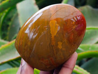 Polished Red Flame Jasper Standing Free Form x 6 From Madagascar