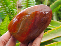Polished Red Flame Jasper Standing Free Form x 6 From Madagascar