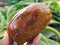Polished Red Flame Jasper Standing Free Form x 6 From Madagascar