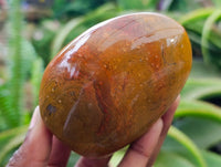 Polished Red Flame Jasper Standing Free Form x 6 From Madagascar