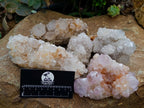 Natural Cactus Flower Ametrine Spirit Quartz Clusters x 4 From South Africa