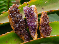 Natural Amethystos Amethyst Clusters x 35 From Kwaggafontein, South Africa