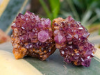 Natural Amethystos Amethyst Clusters x 35 From Kwaggafontein, South Africa