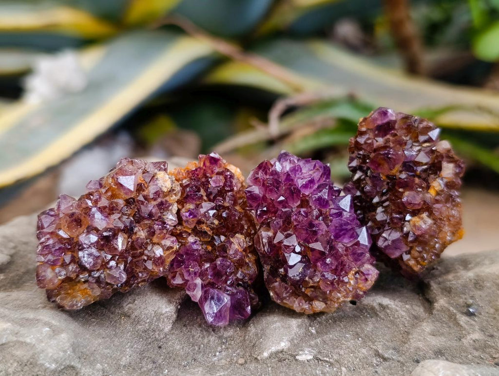 Natural Amethystos Amethyst Clusters x 35 From Kwaggafontein, South Africa