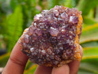 Natural Amethystos Amethyst Clusters x 35 From Kwaggafontein, South Africa