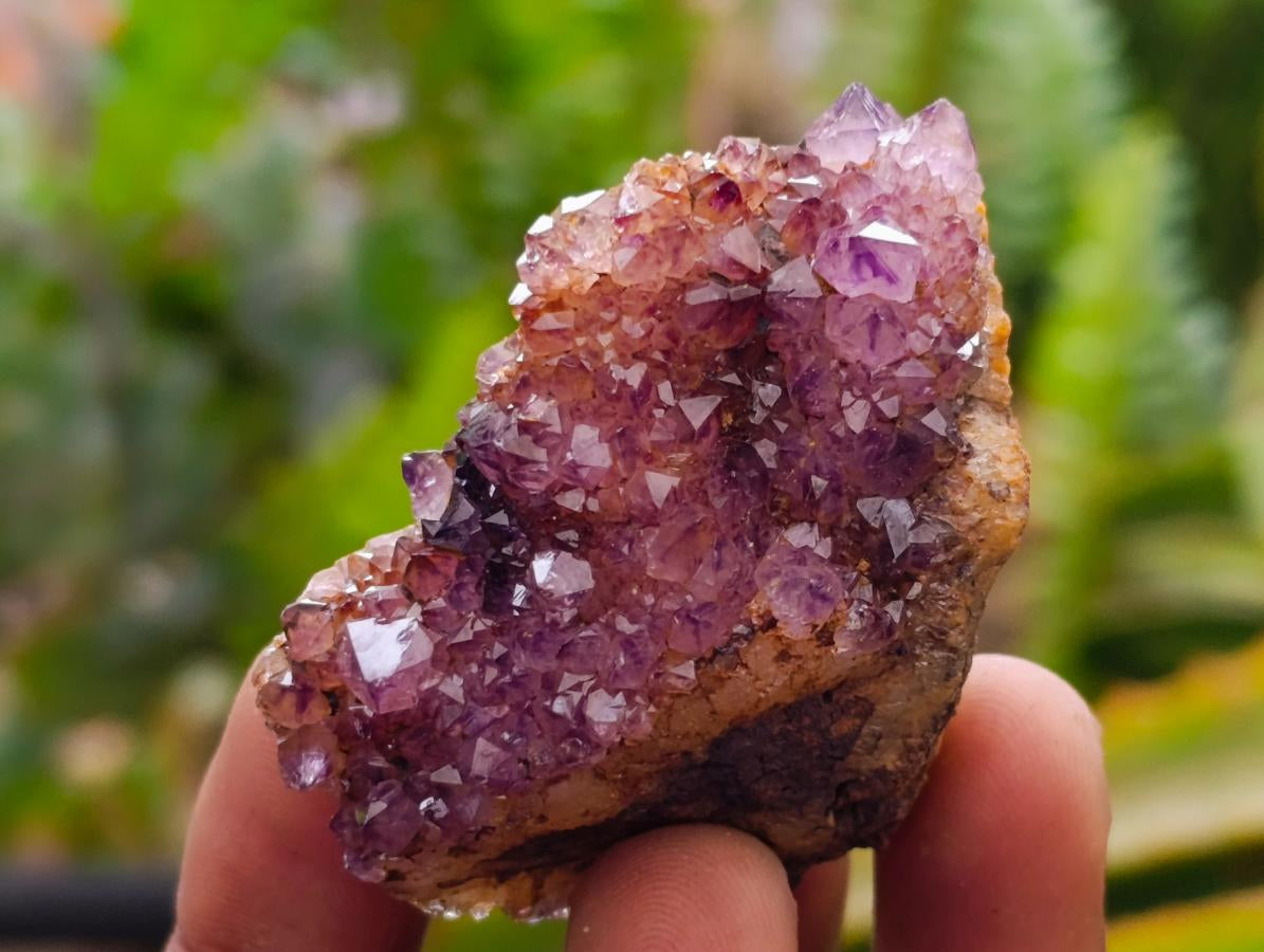 Natural Amethystos Amethyst Clusters x 35 From Kwaggafontein, South Africa