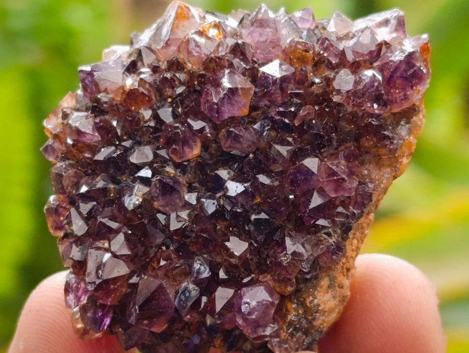 Natural Amethystos Amethyst Clusters x 35 From Kwaggafontein, South Africa