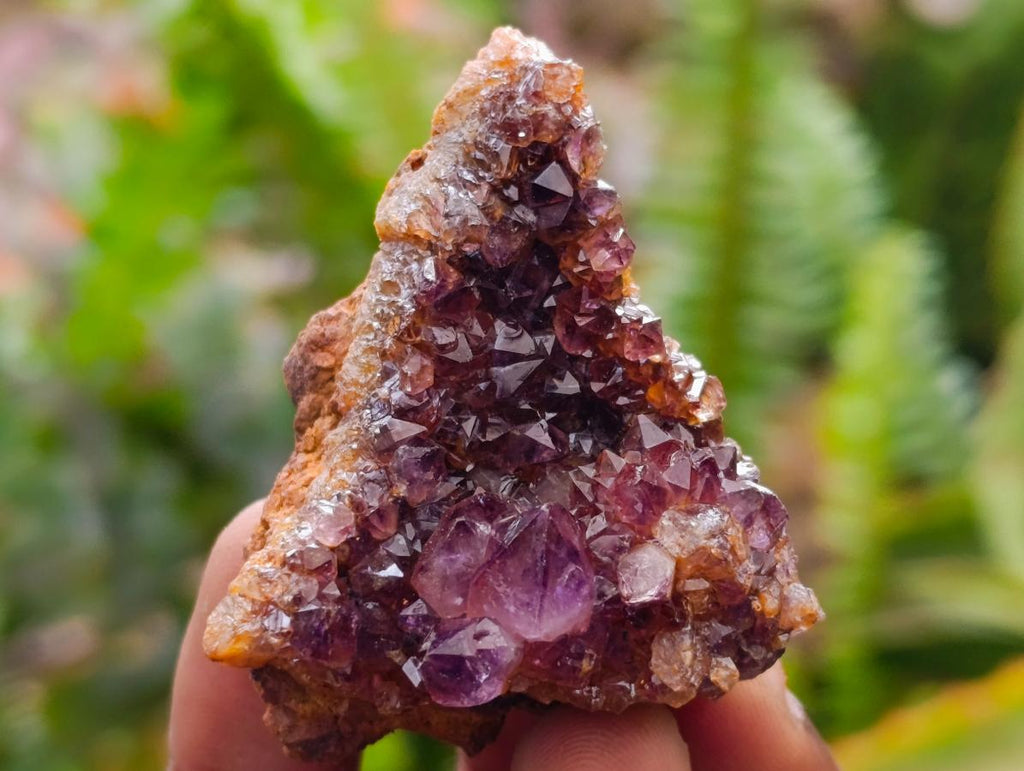 Natural Amethystos Amethyst Clusters x 35 From Kwaggafontein, South Africa