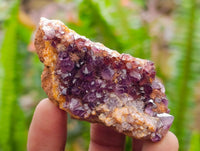 Natural Amethystos Amethyst Clusters x 35 From Kwaggafontein, South Africa