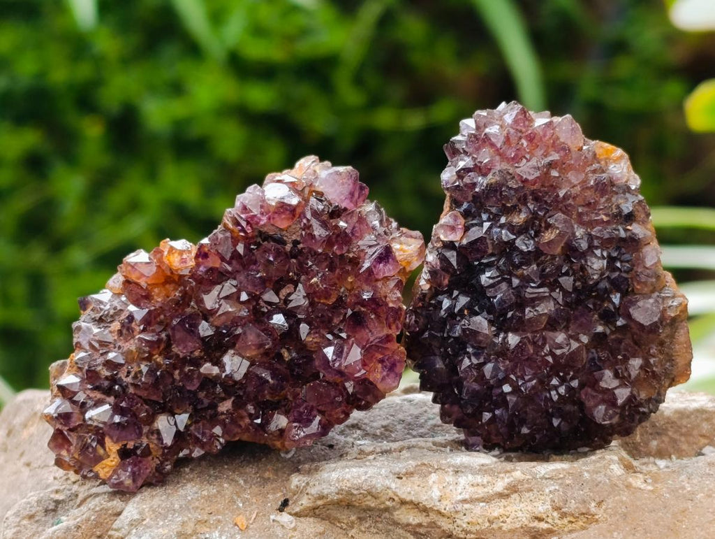 Natural Amethystos Amethyst Clusters x 35 From Kwaggafontein, South Africa