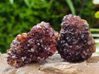 Natural Amethystos Amethyst Clusters x 35 From Kwaggafontein, South Africa